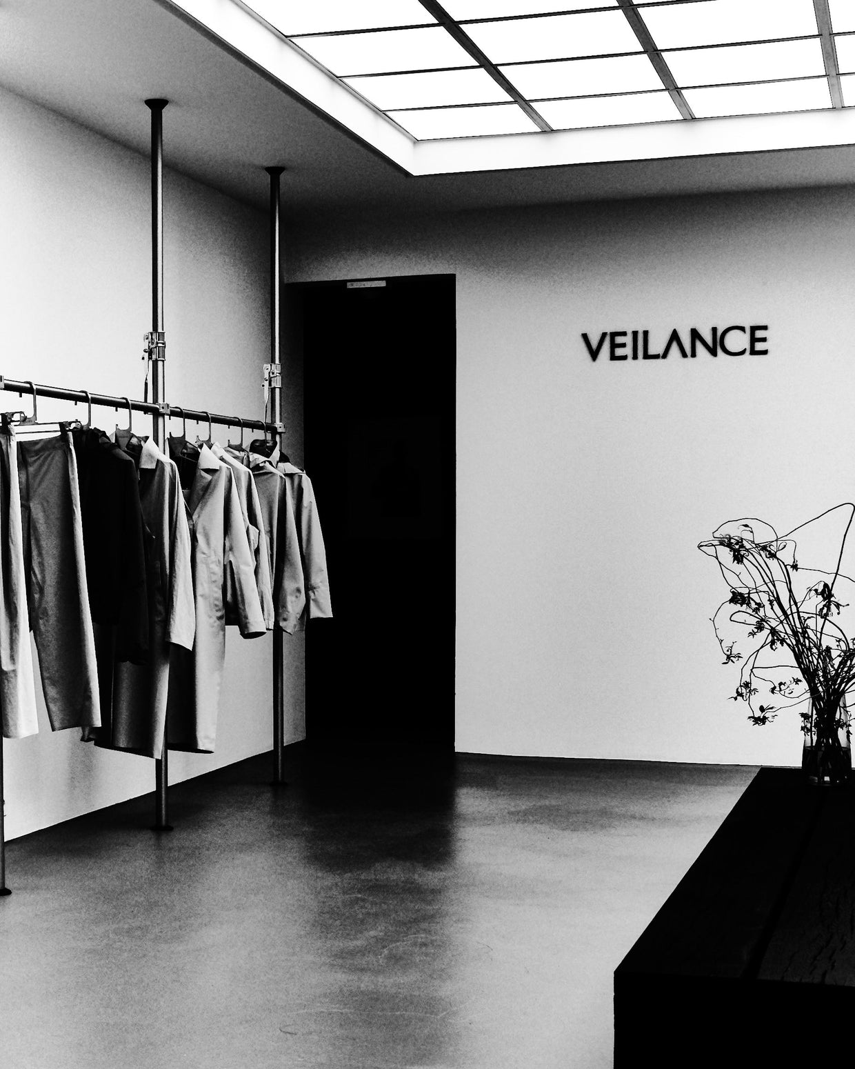 VEILANCE