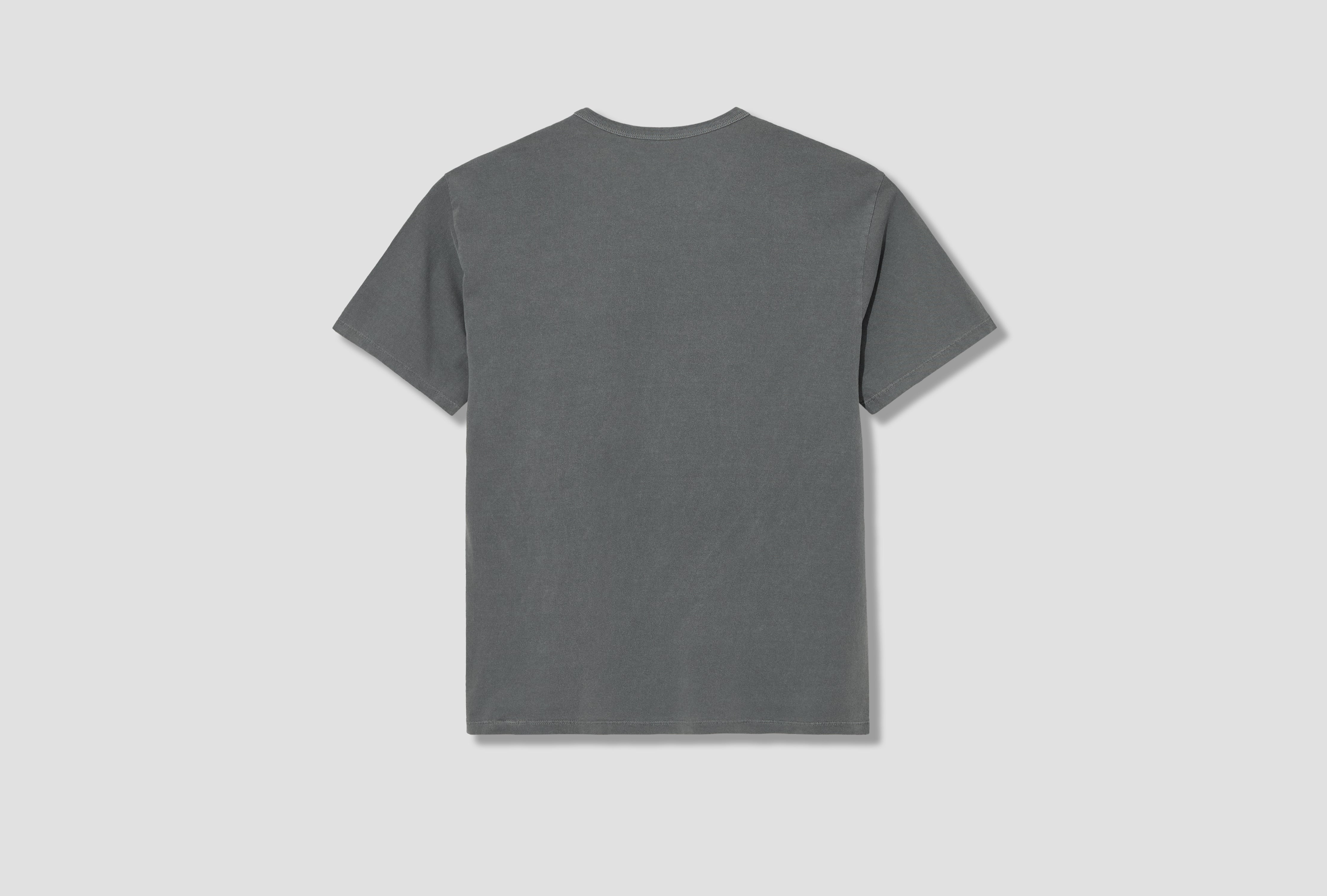 OUR T-SHIRT 2-PACK LW101T Grey