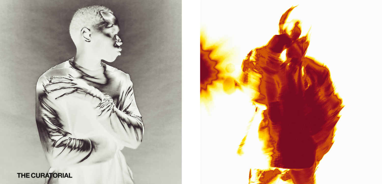 The Curatorial | Curation and Photography by MODERN-DAY architect
