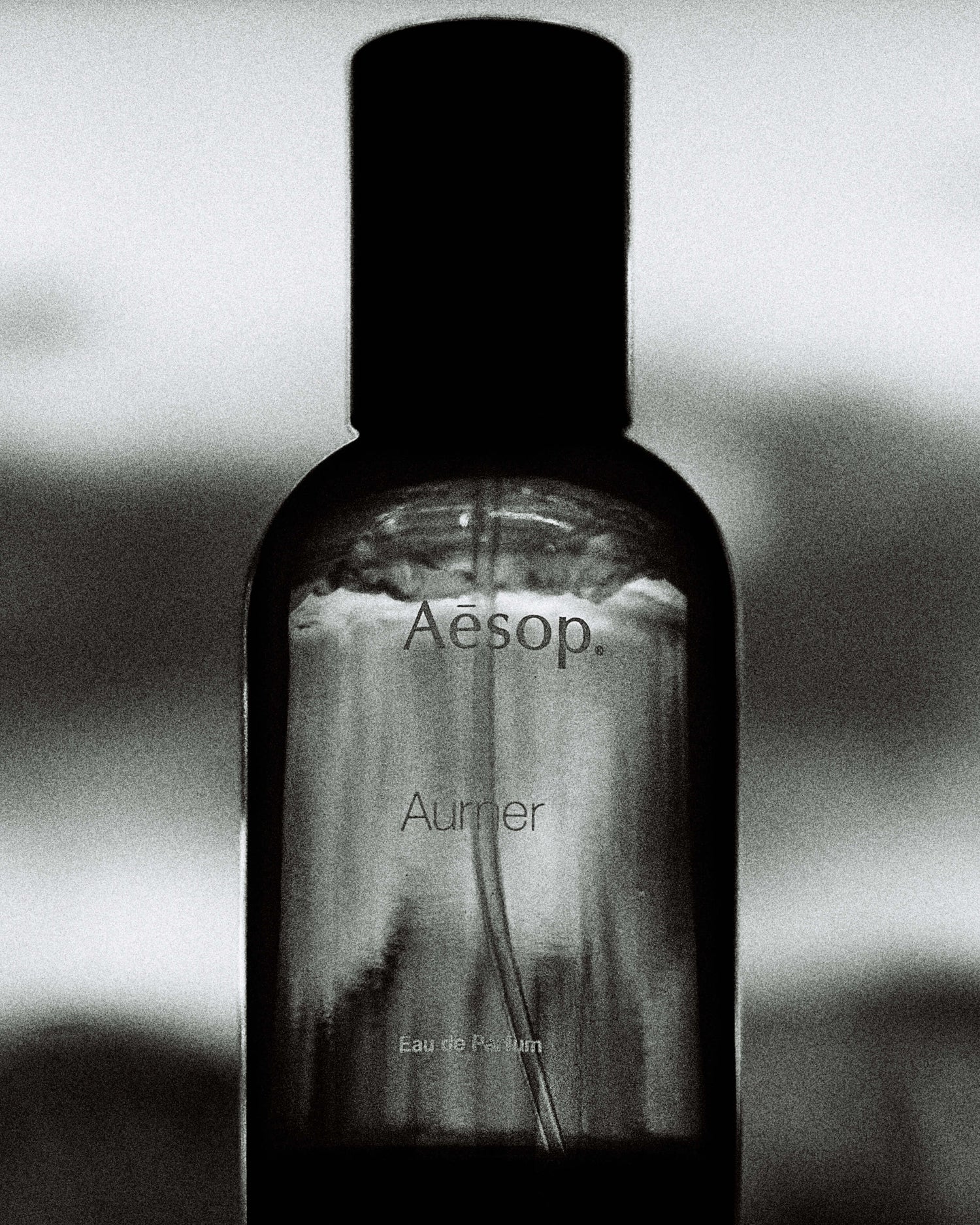 Aesop