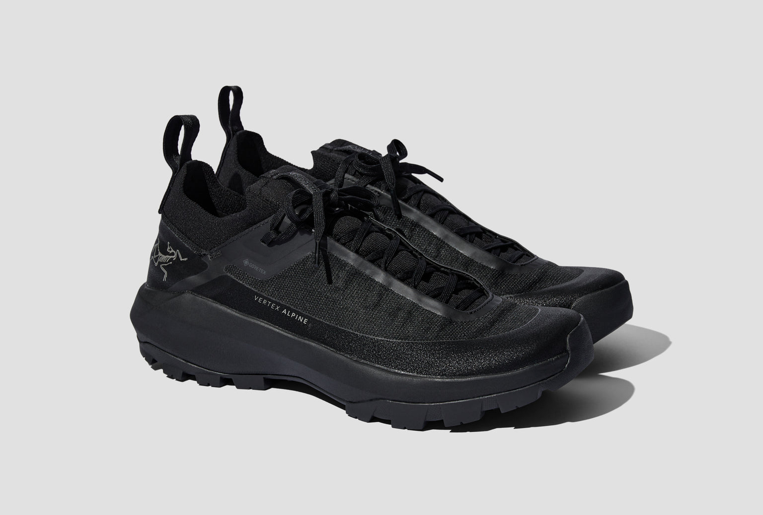 VERTEX ALPINE GTX SHOE MEN'S X000009602 Black