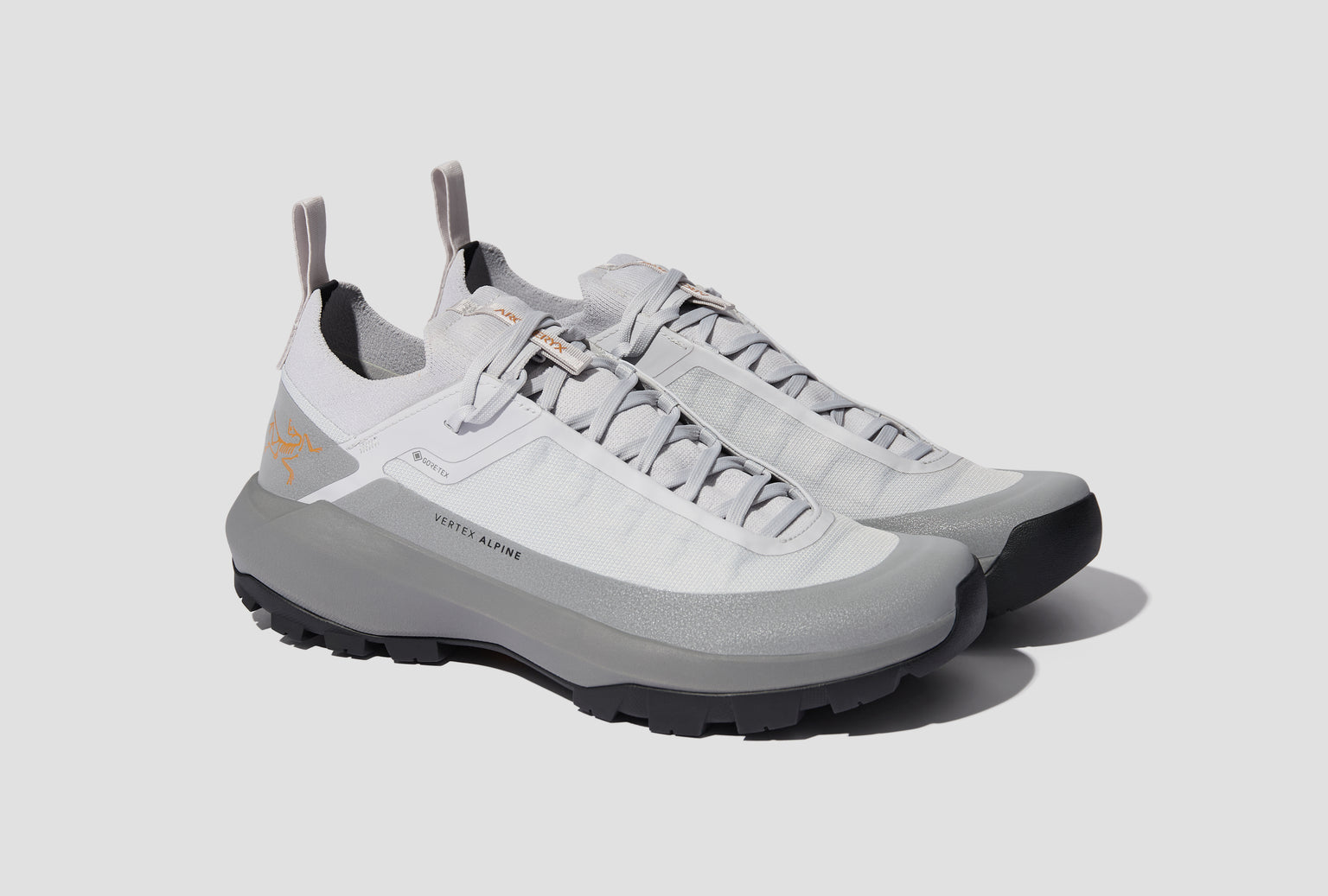 VERTEX ALPINE GTX SHOE MEN'S X000009602 Grey