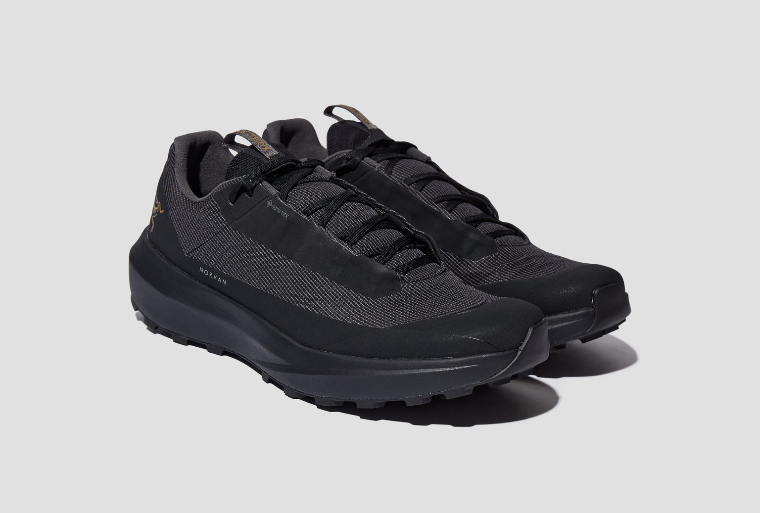 NORVAN LD 4 GTX SHOE MEN'S X000010397 Black