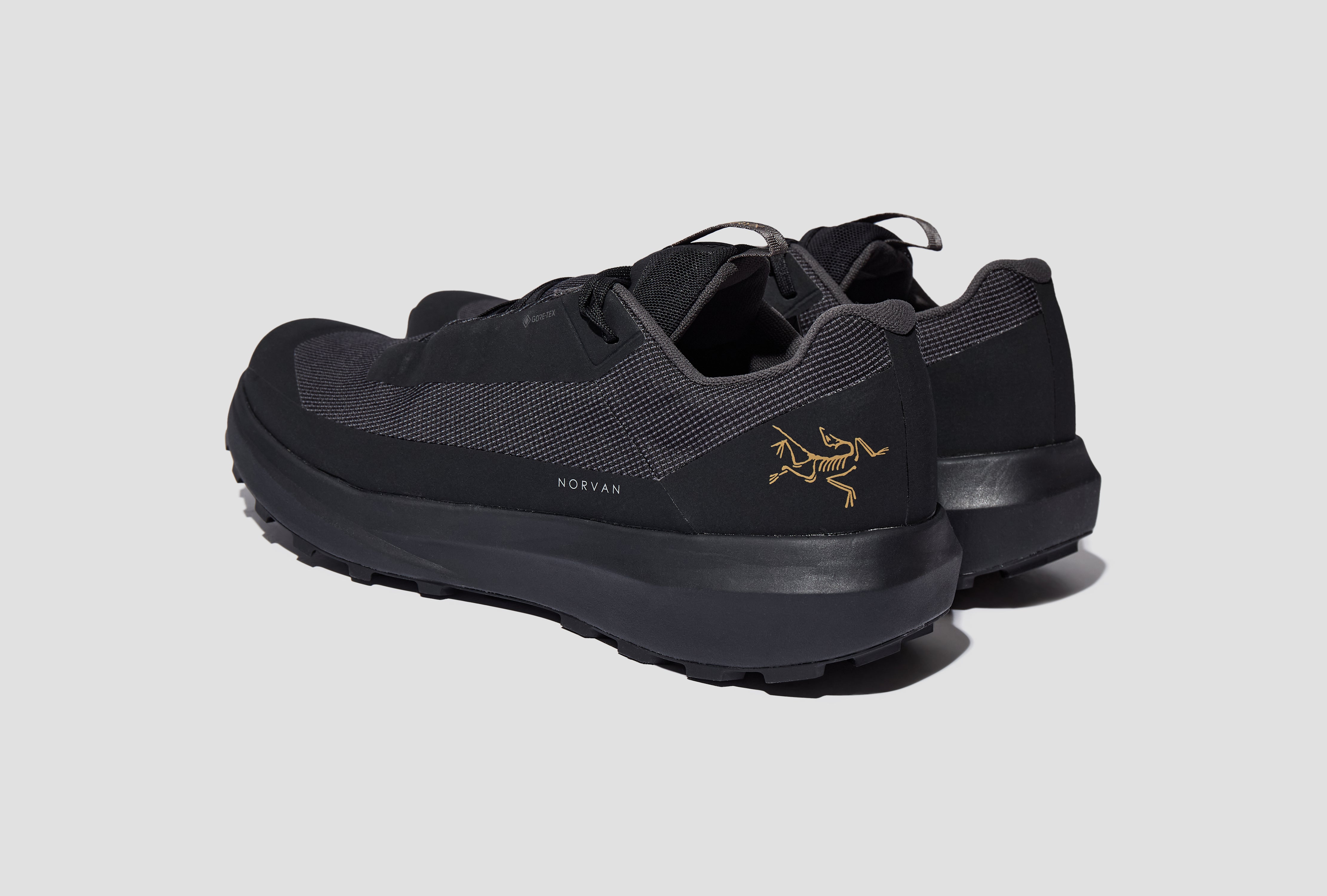 NORVAN LD 4 GTX SHOE MEN'S X000010397 Black