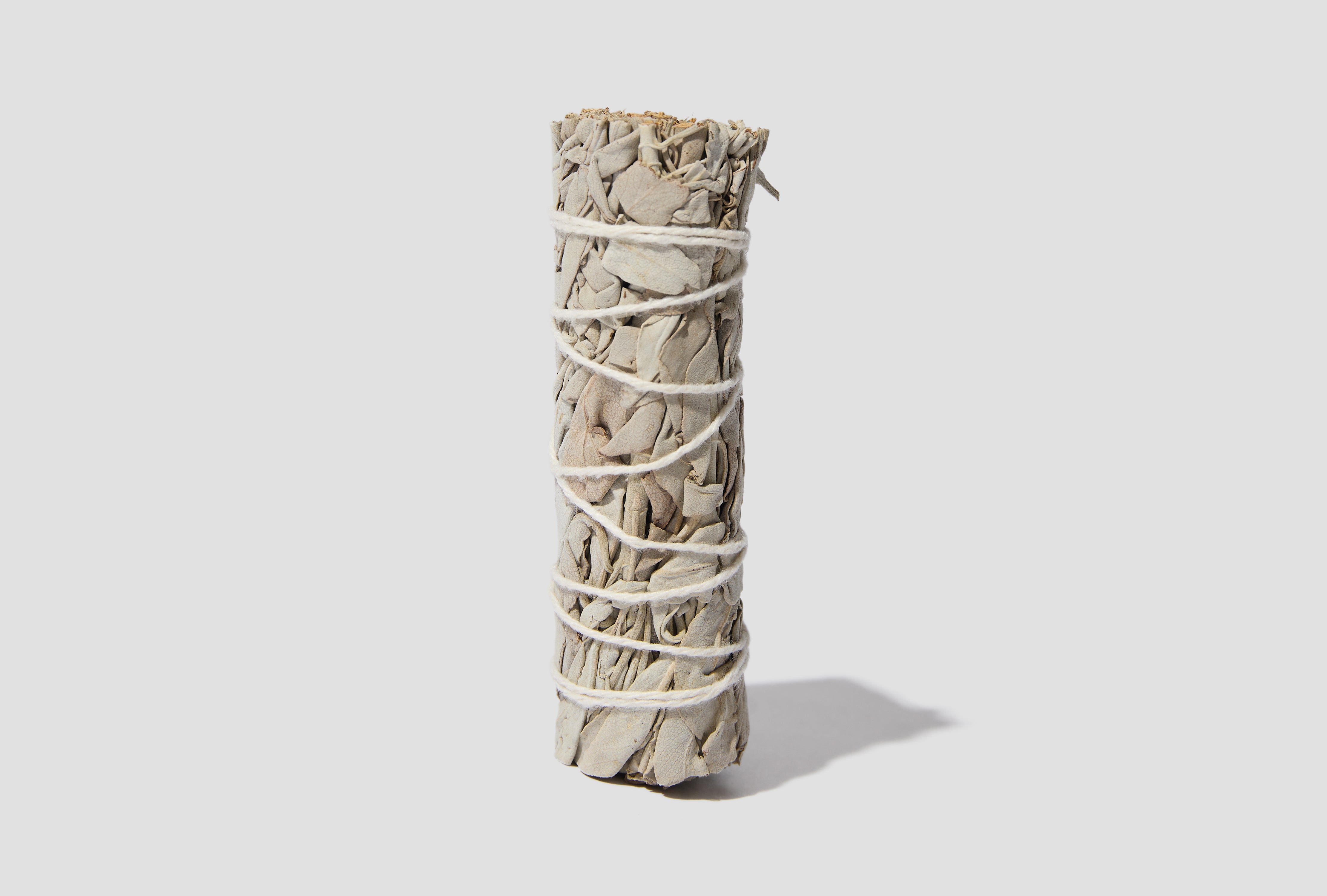 WHITE SAGE 261SLNH-AC02