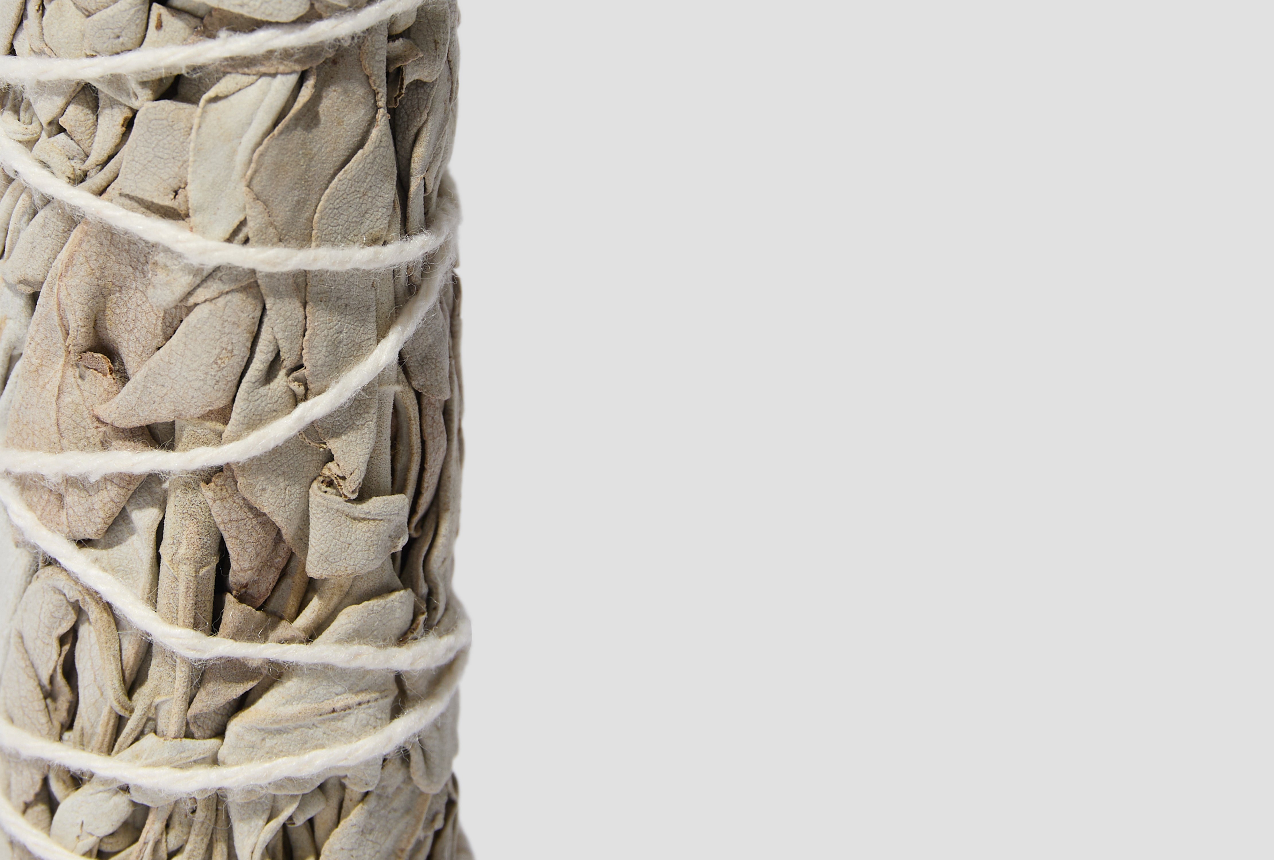 WHITE SAGE 261SLNH-AC02