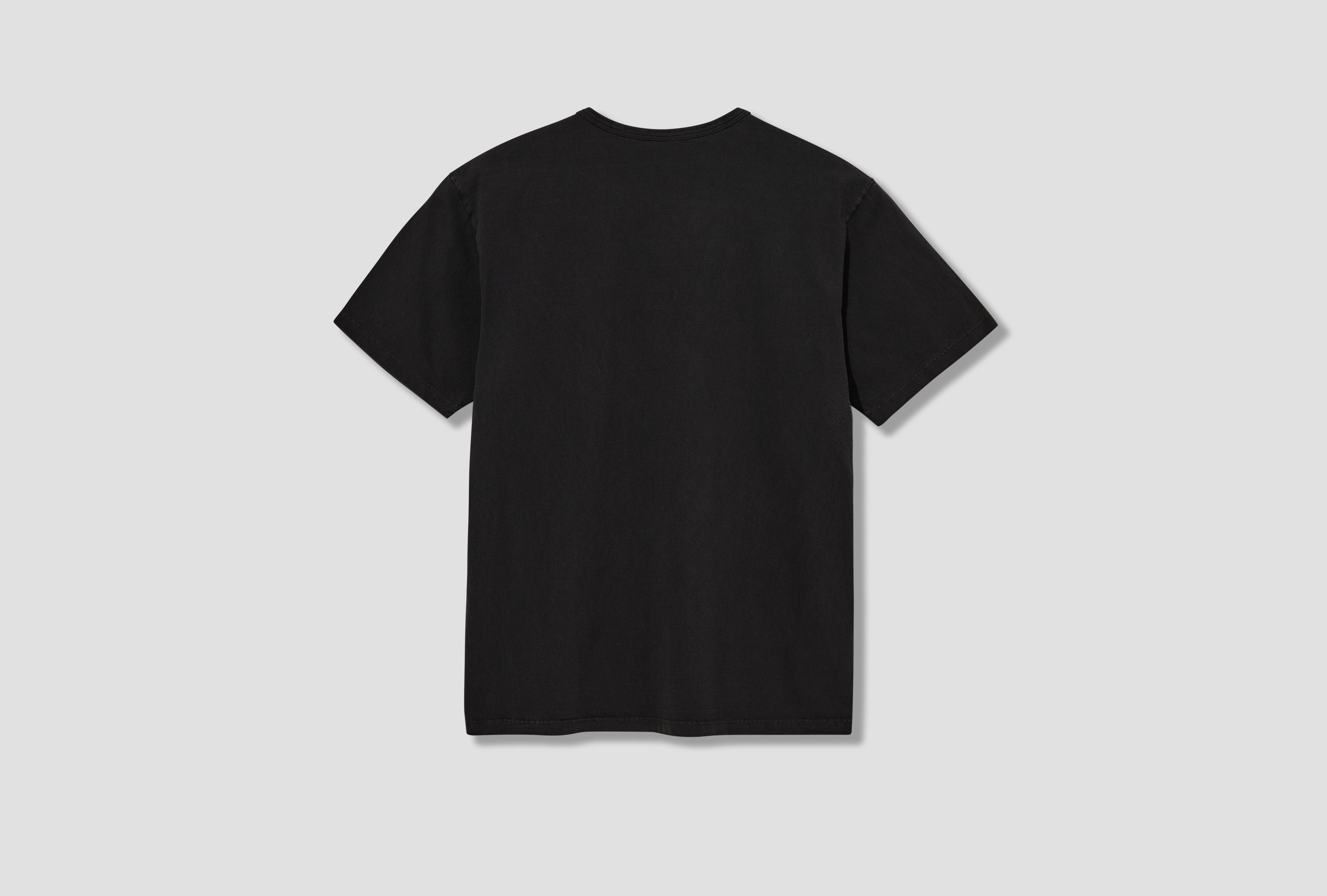OUR T-SHIRT 2-PACK - PIGMENT CHARCOAL LW-101T