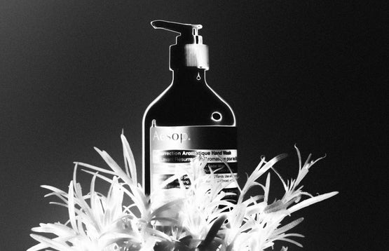 Aesop Skincare and Perfume | Photo by MODERN-DAY architect | www.moderndayarchitect.com