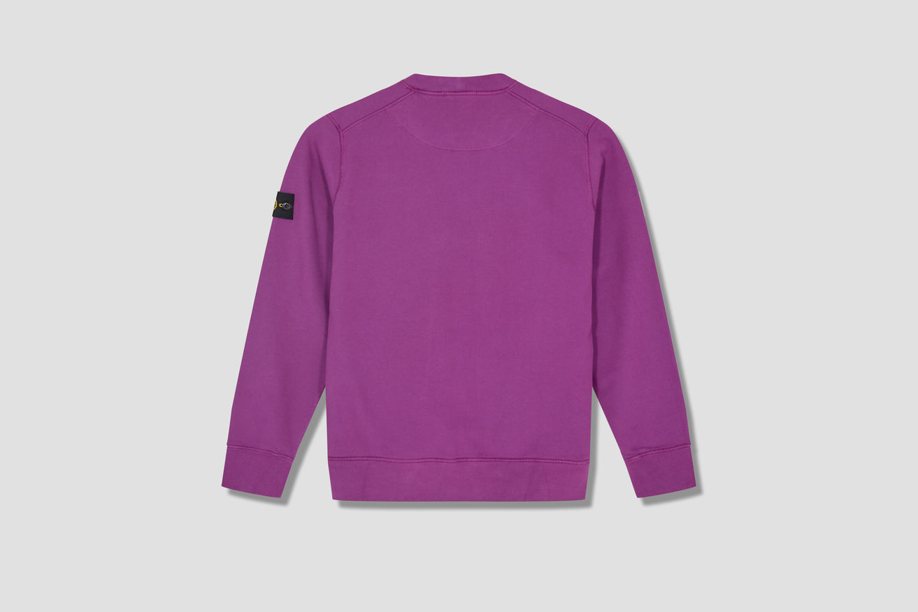 BRUSHED COTTON FLEECE GARMENT DYED 751563020 Purple